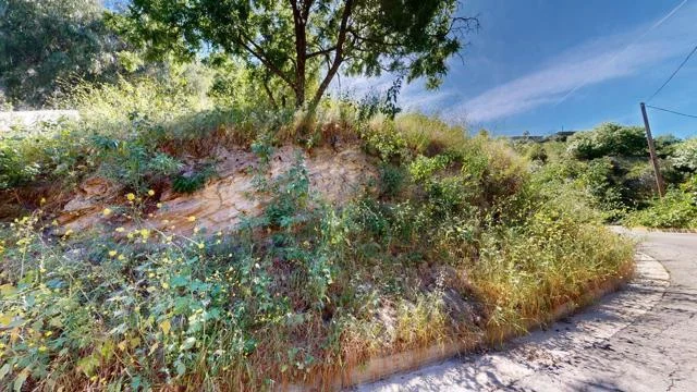 3800 Knobhill Drive photo 3