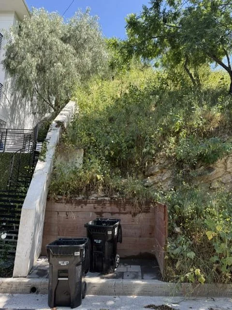 3800 Knobhill Drive photo 5