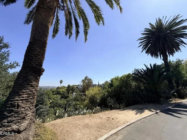 Olancha Drive photo 3