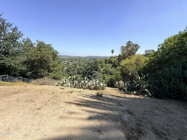 Olancha Drive photo 4