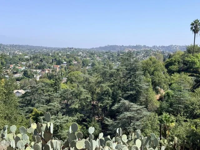 Olancha Drive photo 5