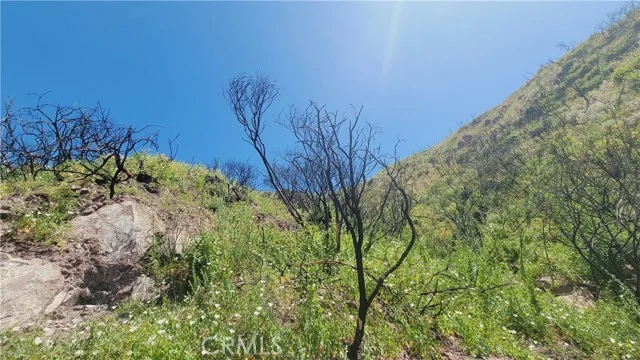 Piuma Road photo 3