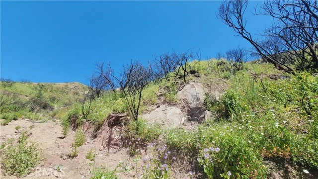 Piuma Road photo 4