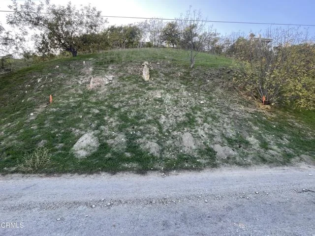 Forest Park Drive photo 2