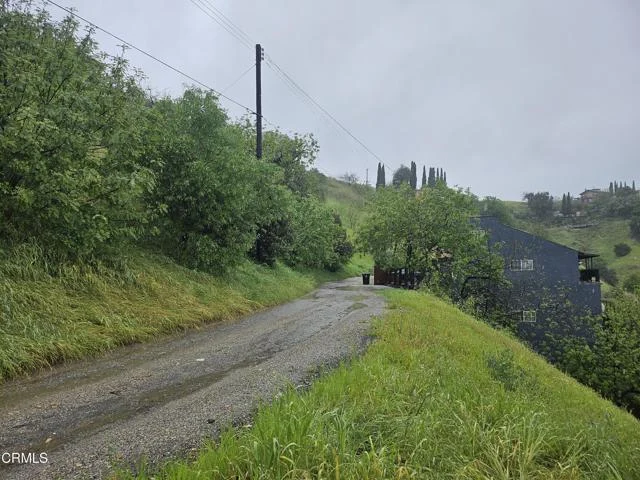 Forest Park Drive photo 3