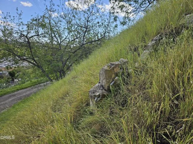 Forest Park Drive photo 4