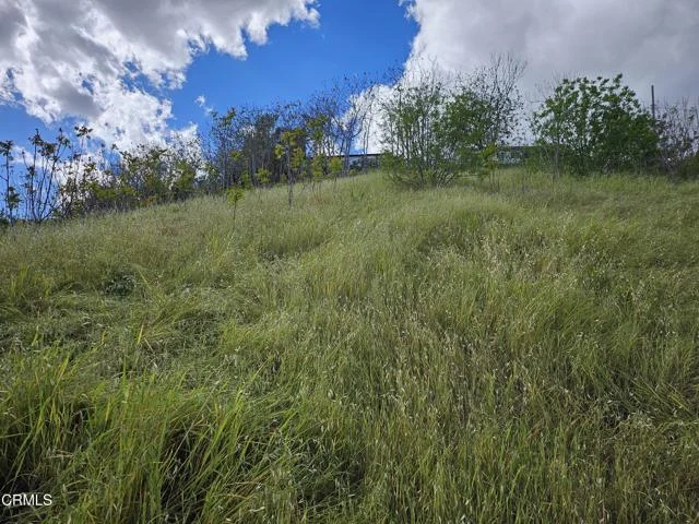 Forest Park Drive photo 5