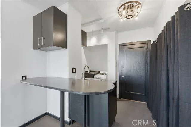 315 W 3rd Street #410 photo 3