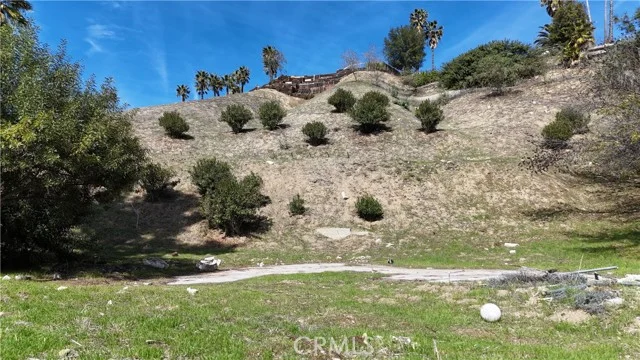 20713 Collins Street photo 4
