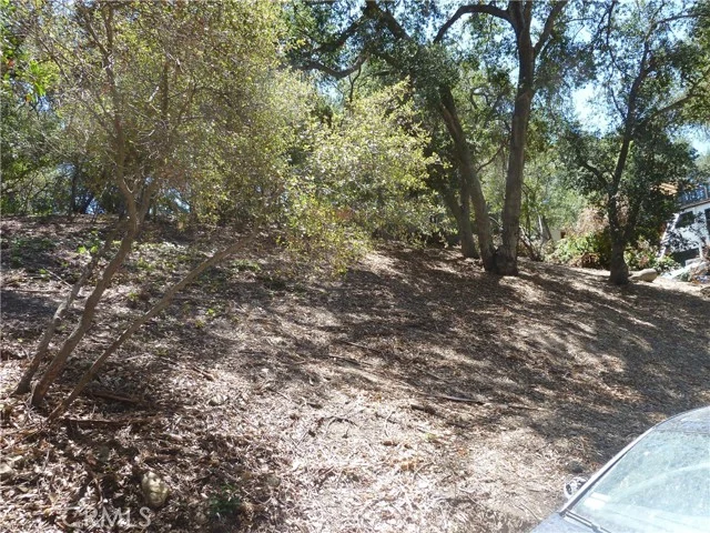4264 Rosario Road photo 5