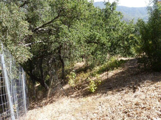 26241 Idlewild Way photo 5