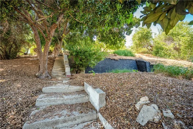 3317 Sierra Street photo 3