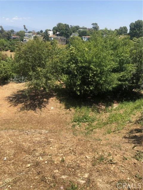 923 Alegre Place photo 2