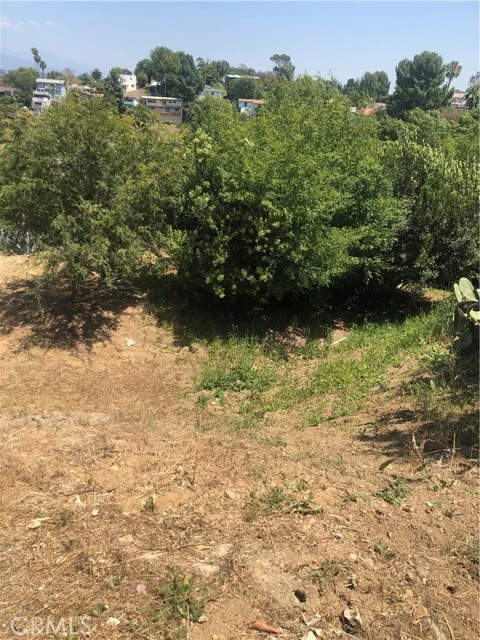 923 Alegre Place photo 3