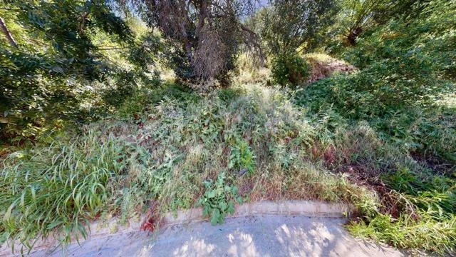 3810 Knobhill Drive photo 3