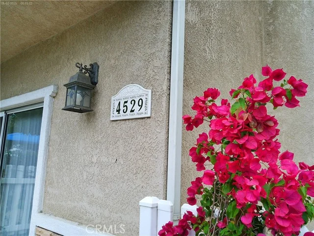 4529 Colfax, Los Angeles