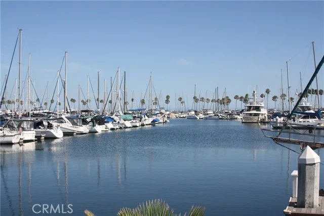 527 Cedar Avenue #2E, Long Beach