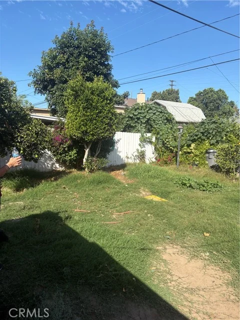 529 E 224th Street photo 3