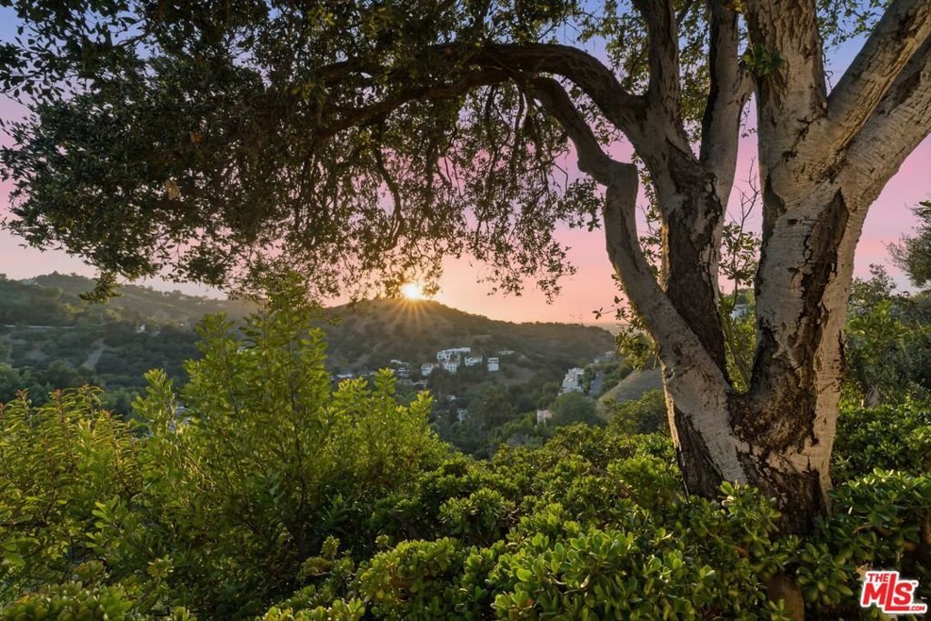 3581 Avenida Del Sol Studio City CA 91604 22 3581 Avenida Del Sol Studio City CA 91604