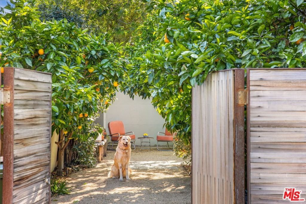 2255 Wellesley Avenue Los Angeles CA 90064 46 2255 Wellesley Avenue Los Angeles CA 90064