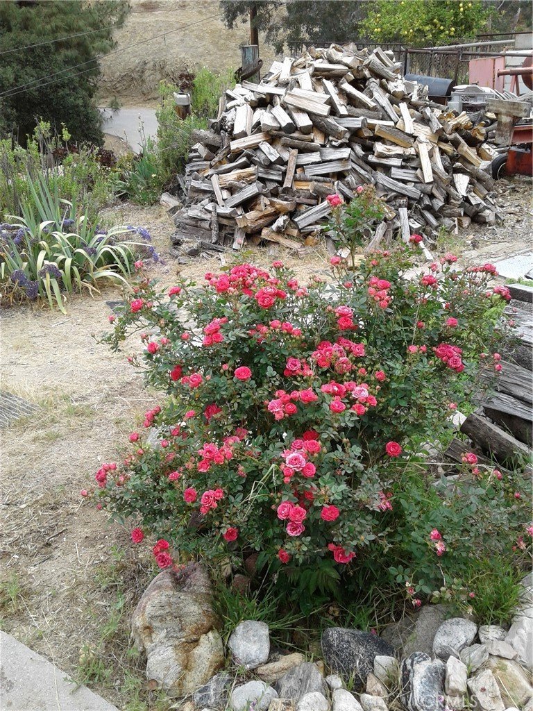 9428 Glen O Peace Tujunga CA 91042 5 9428 Glen O Peace Tujunga CA 91042