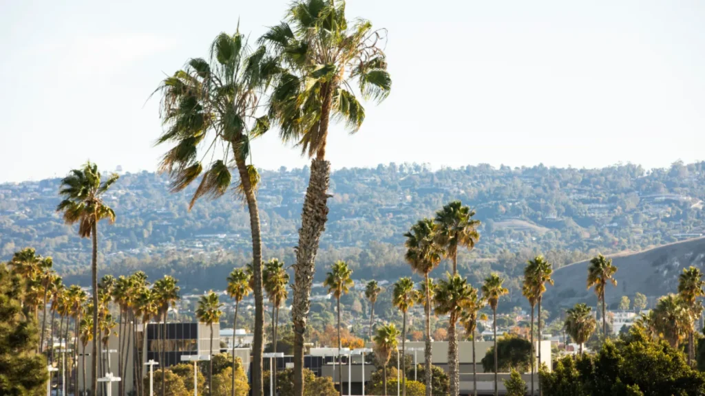 K Line Extension to Torrance: What South Bay Homebuyers Should Know