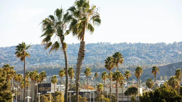 K Line Extension to Torrance: What South Bay Homebuyers Should Know