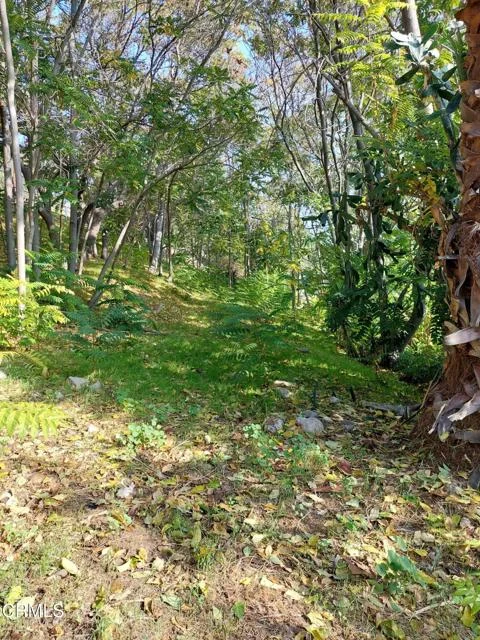 200 S Avenue 63 photo 1