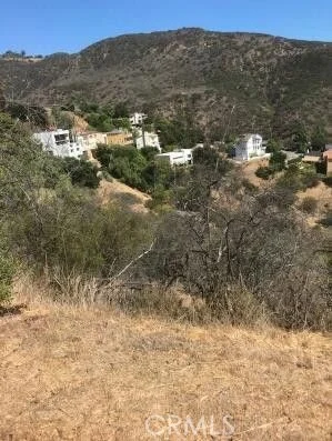 1 Latigo Cyn & Ocean View, Malibu