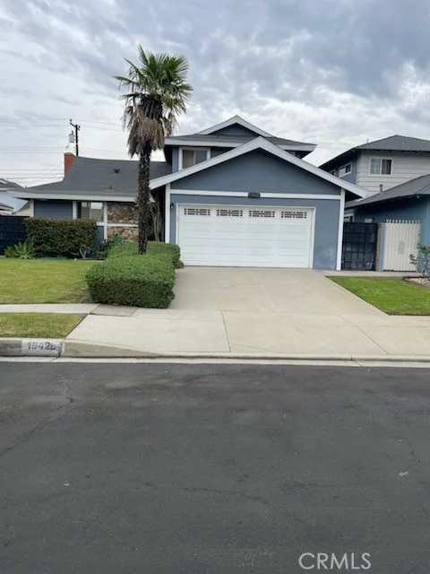 19426 Belshaw, Carson