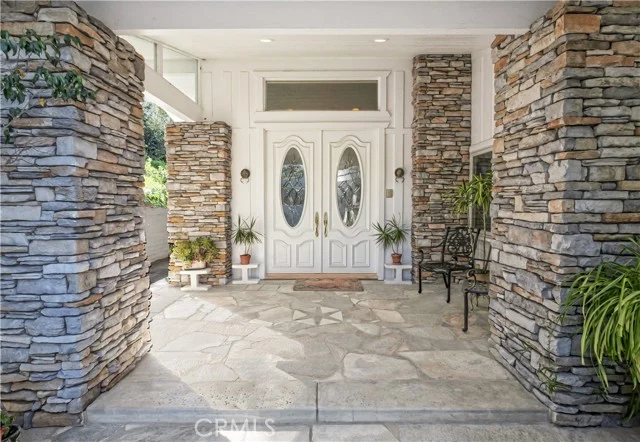 49 Saddleback photo 5