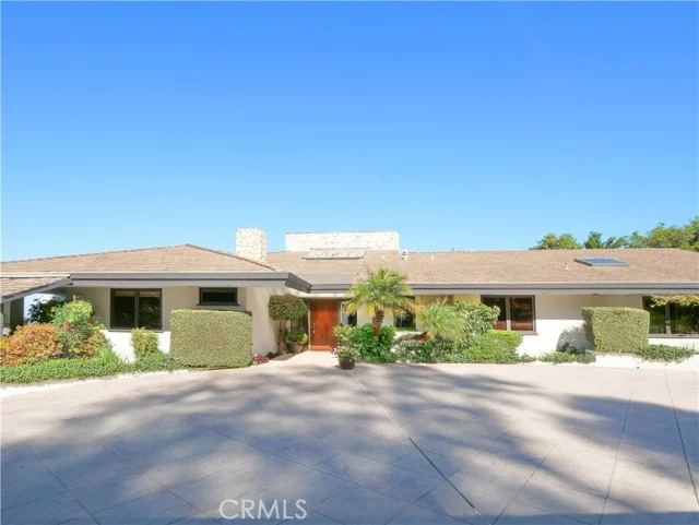 57 Saddleback photo 2