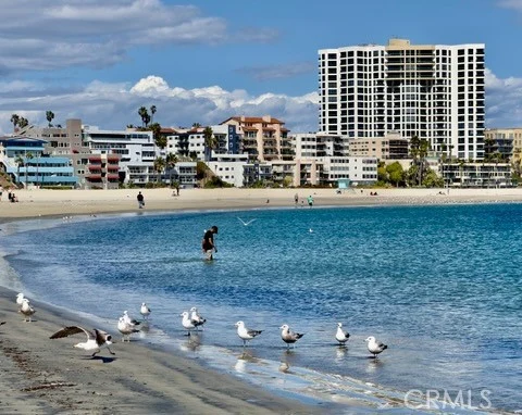 1310 E Ocean #405, Long Beach