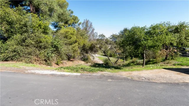 Clover Trail photo 1
