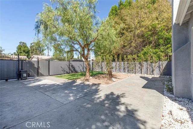 6206 Camellia photo 5