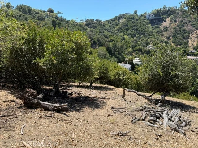 12937 Mulholland Drive photo 1
