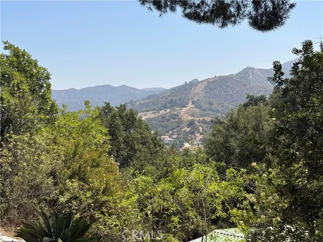21313 Hillside photo 3