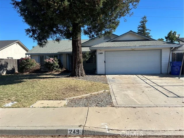 249 Live Oak photo 1