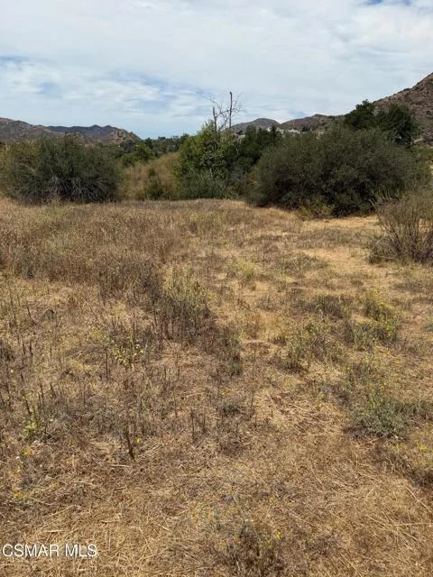 29510 Mulholland Highway photo 1