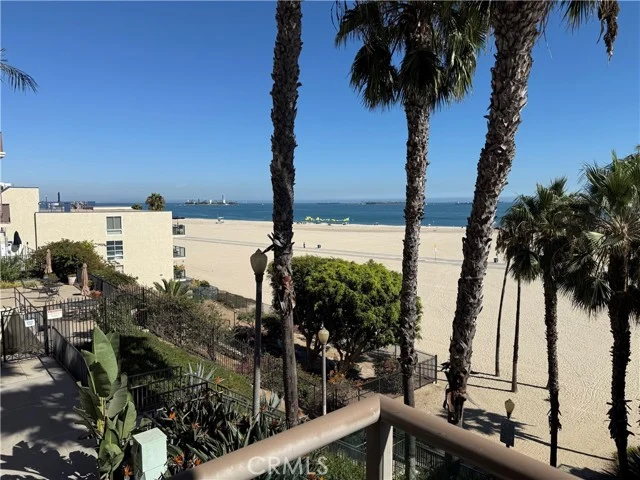 1000 E Ocean Boulevard #416 photo 1