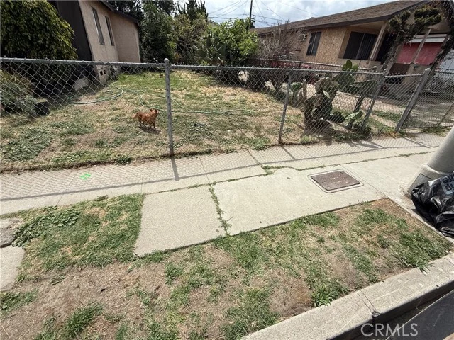 10726 Weigand photo 1