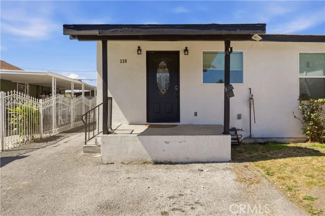 339 E 103 Street photo 1